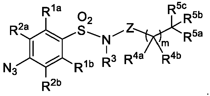 Figure imgb0064