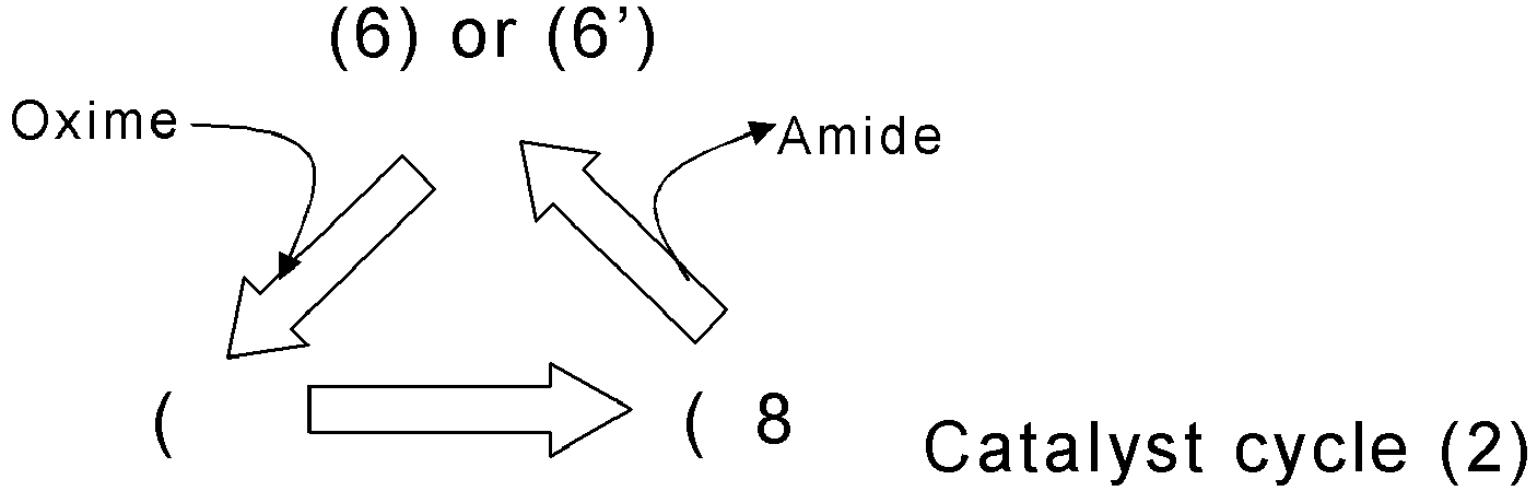 Figure imgb0013