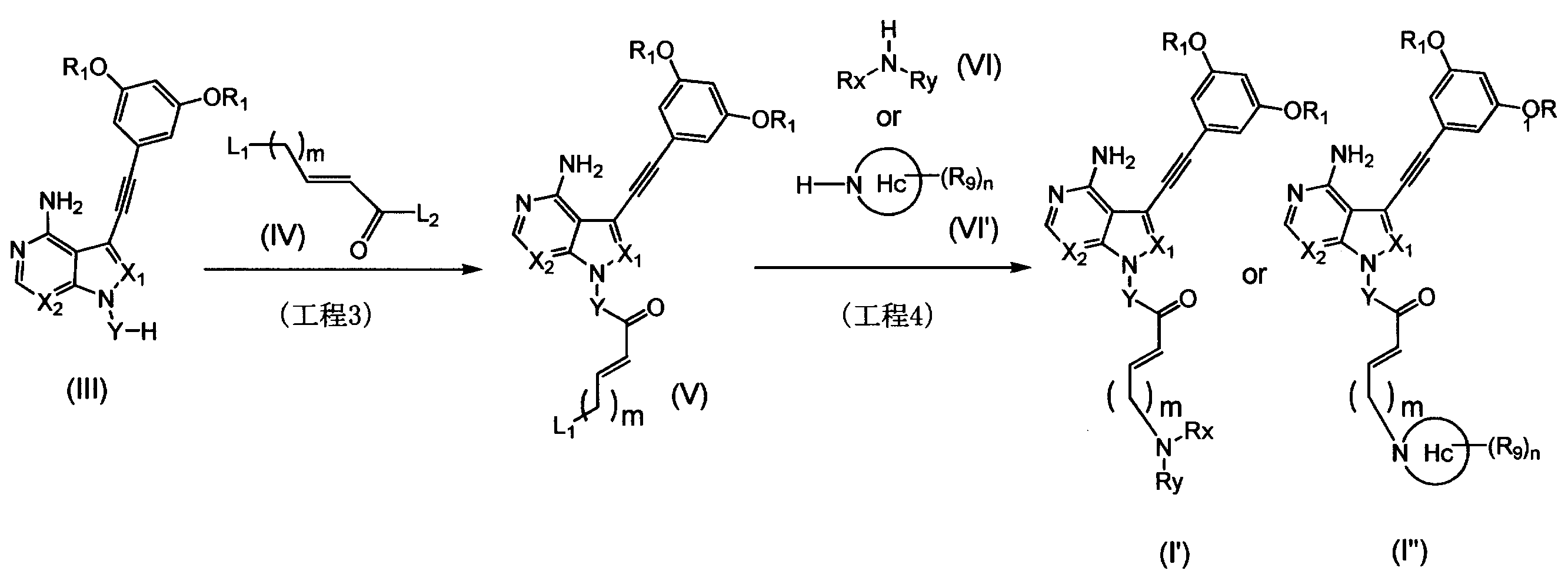 Figure JPOXMLDOC01-appb-C000062
