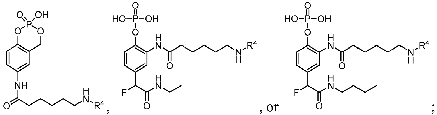 Figure imgb0101