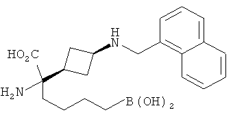 Figure 00000233