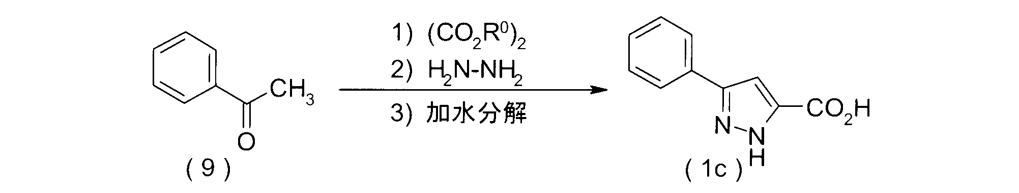 Figure JPOXMLDOC01-appb-C000013