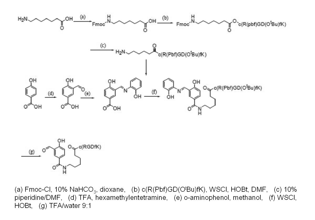 Figure JPOXMLDOC01-appb-C000003