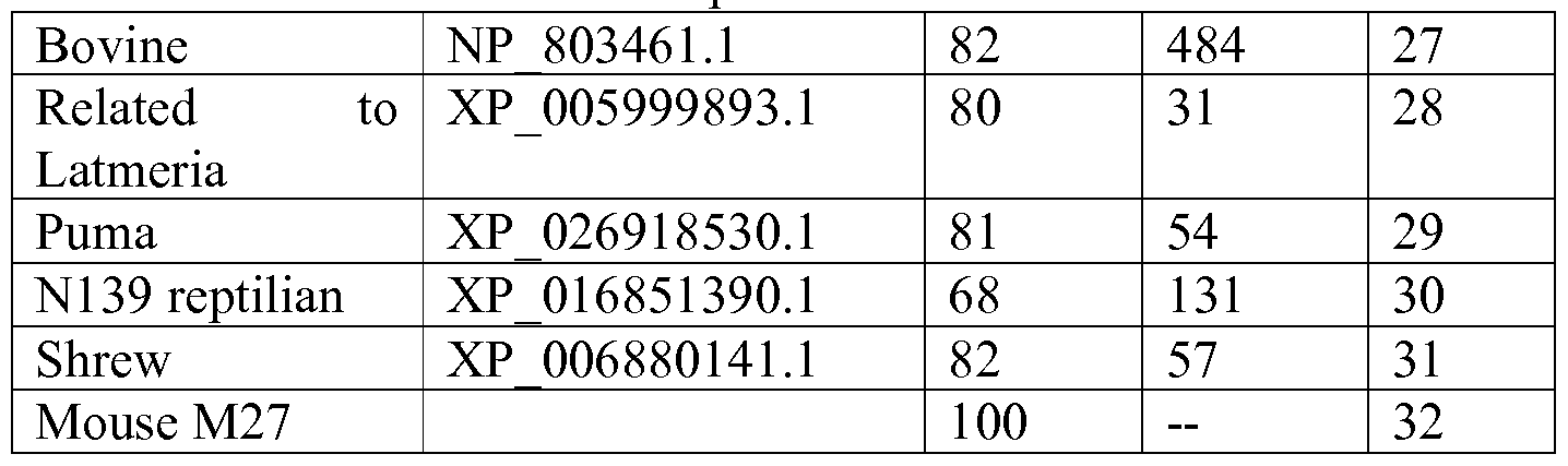 Figure imgf000037_0001