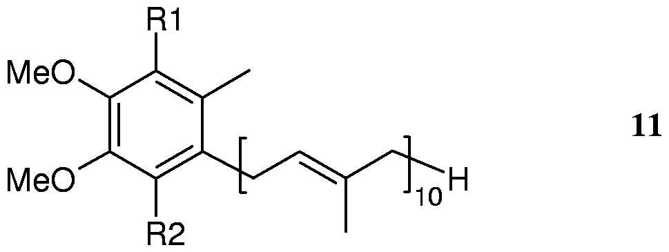 Figure imgf000014_0002
