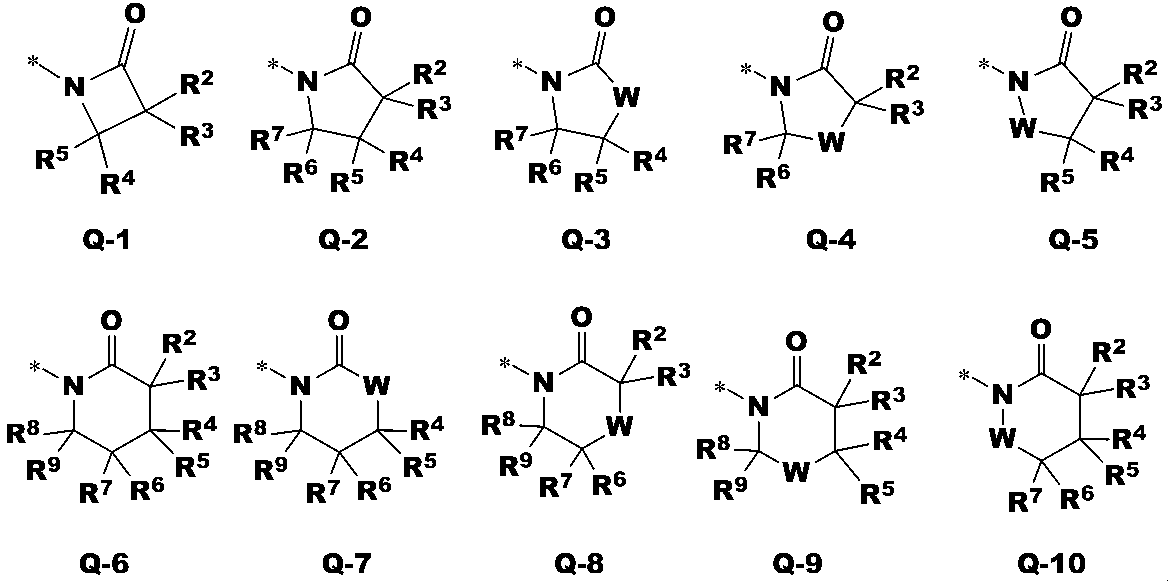 Figure JPOXMLDOC01-appb-C000010