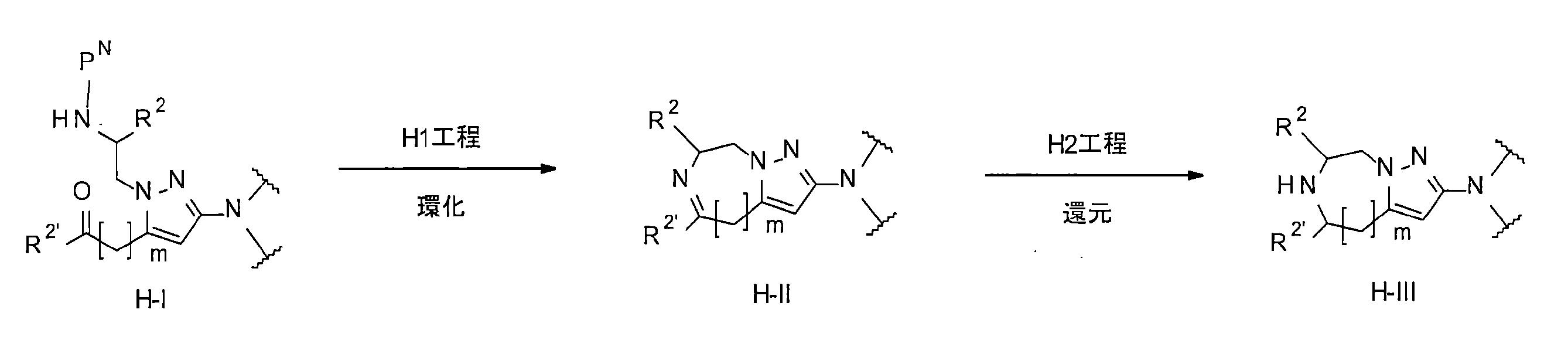 Figure JPOXMLDOC01-appb-C000035