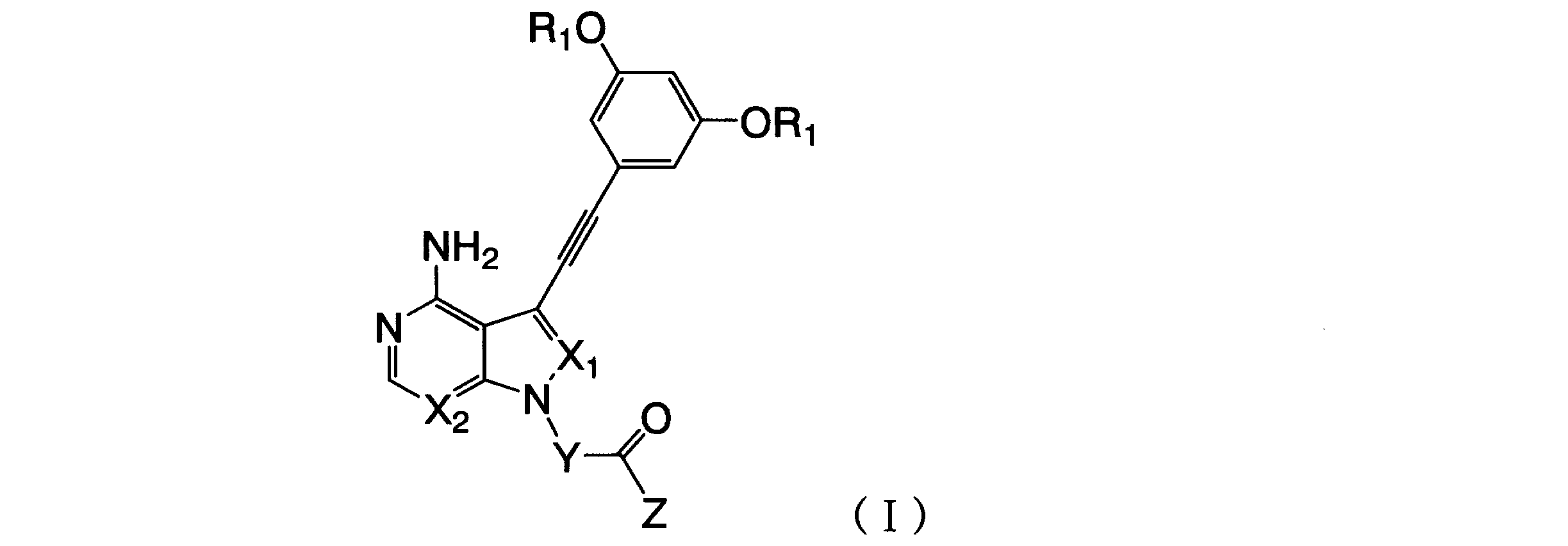 Figure JPOXMLDOC01-appb-C000013