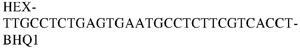 Figure imgb0052