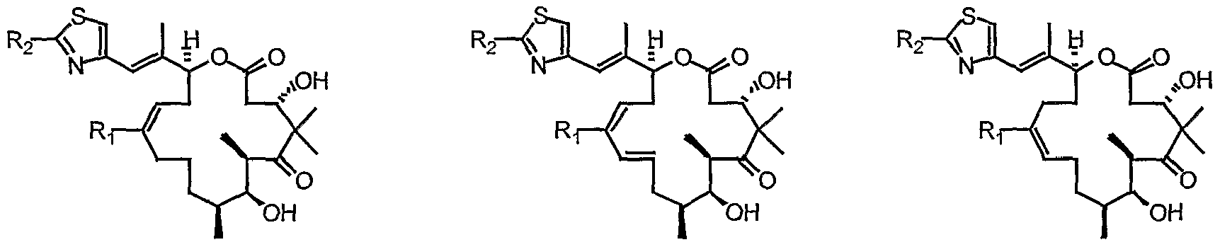 Figure imgf000004_0001