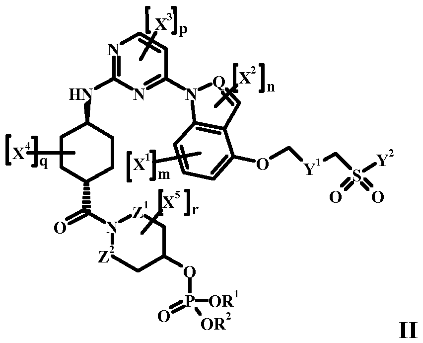 Figure imgf000009_0001