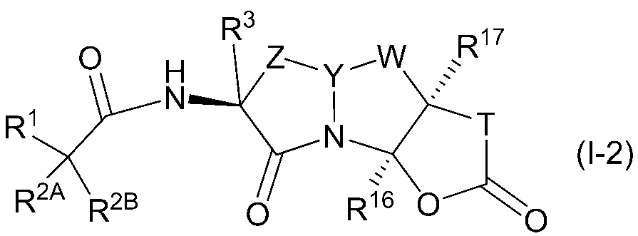 Figure JPOXMLDOC01-appb-C000126