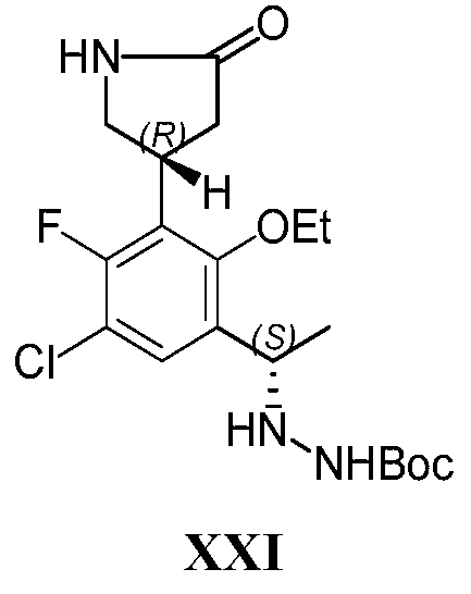 Figure pct00017