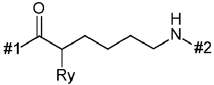 Figure imgb0379