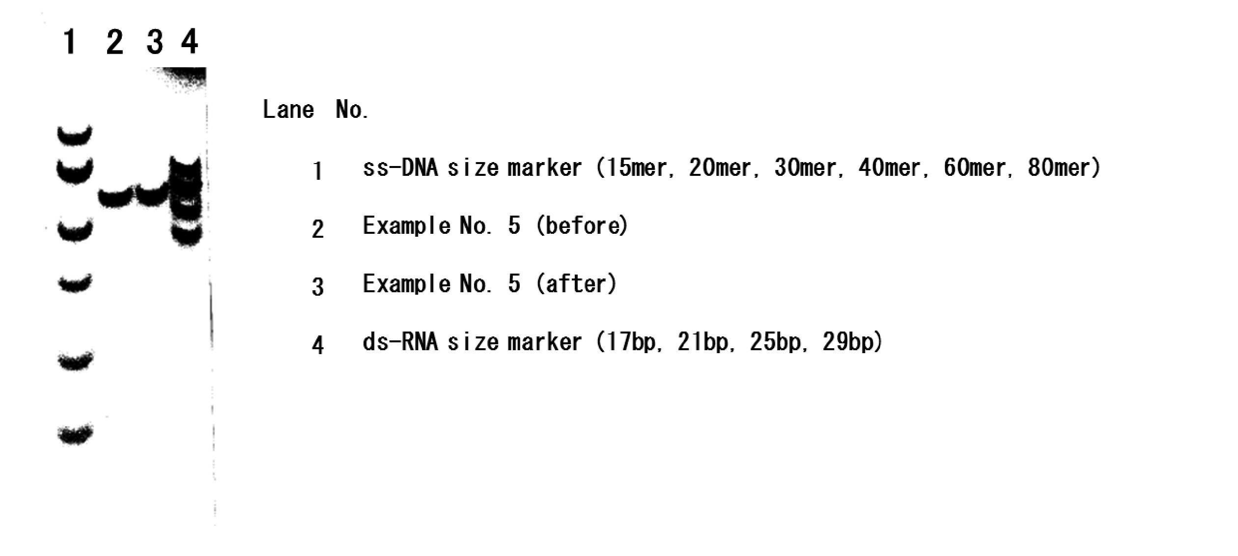 wo2017131124a1 一本鎖オリゴヌクレオチド google patents