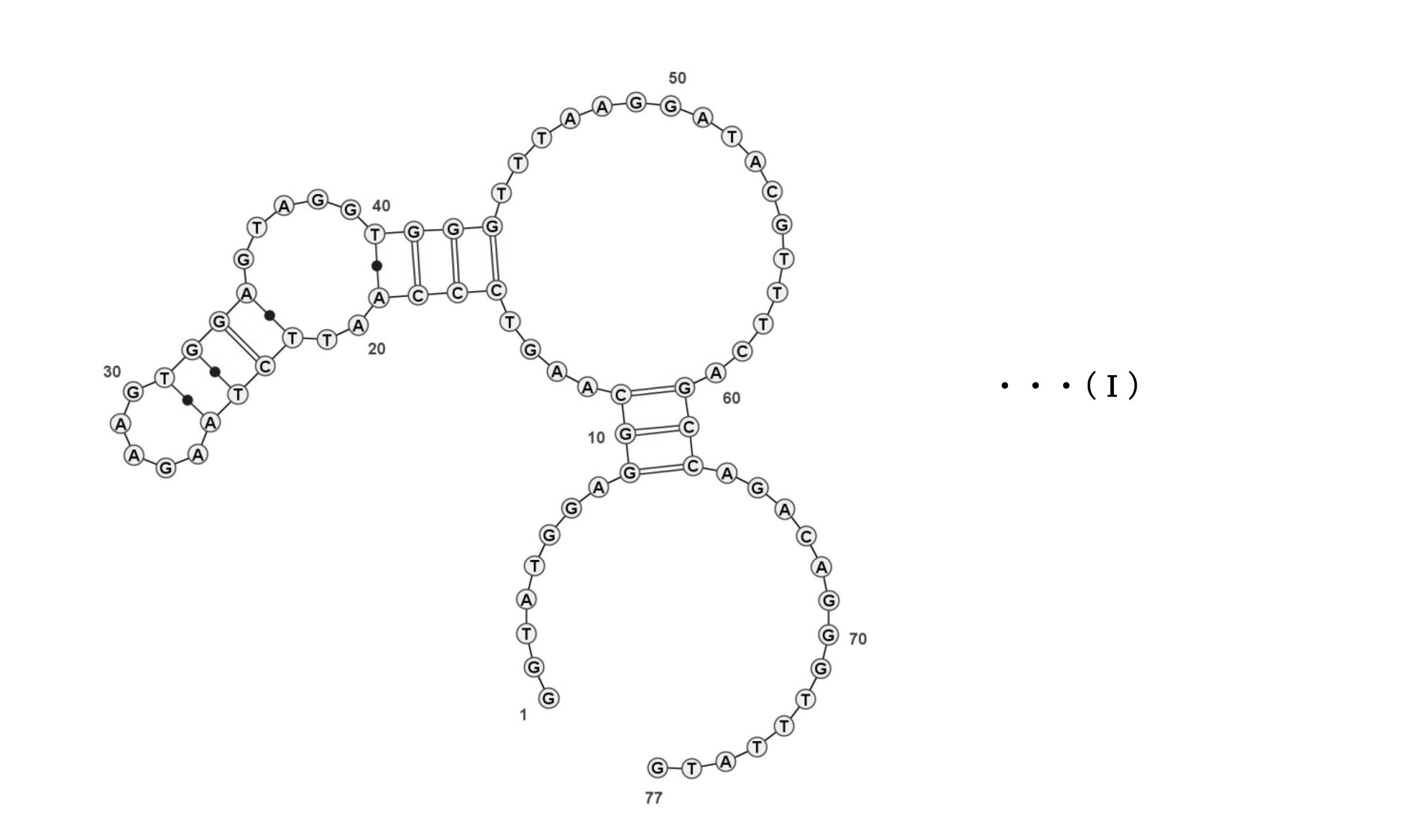 Figure JPOXMLDOC01-appb-C000010