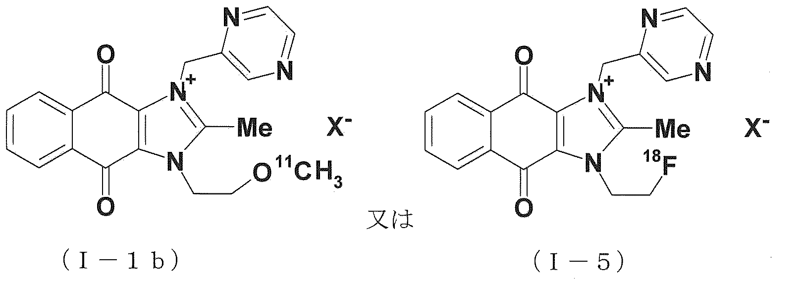 Figure JPOXMLDOC01-appb-C000009