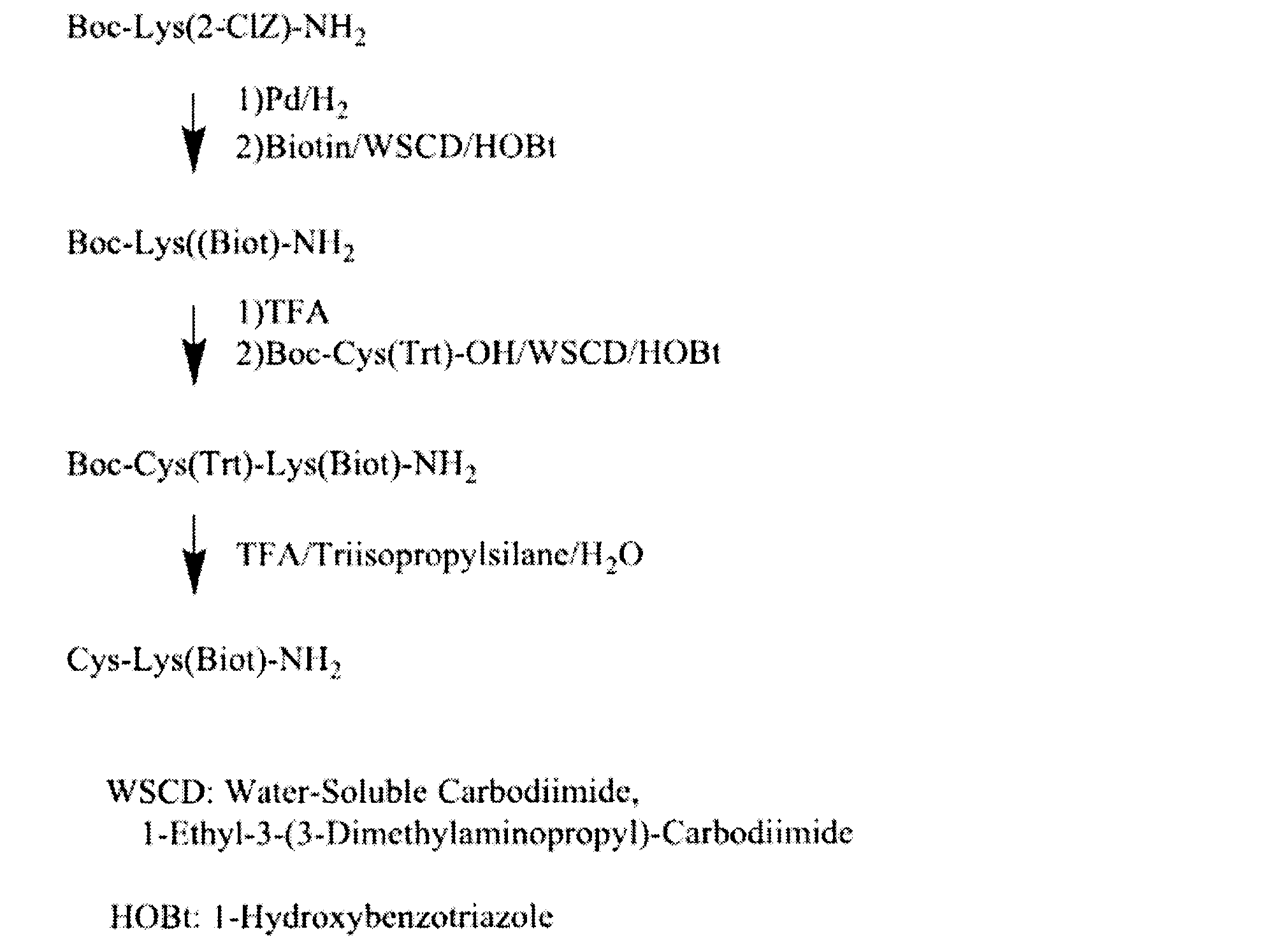 Figure JPOXMLDOC01-appb-C000106