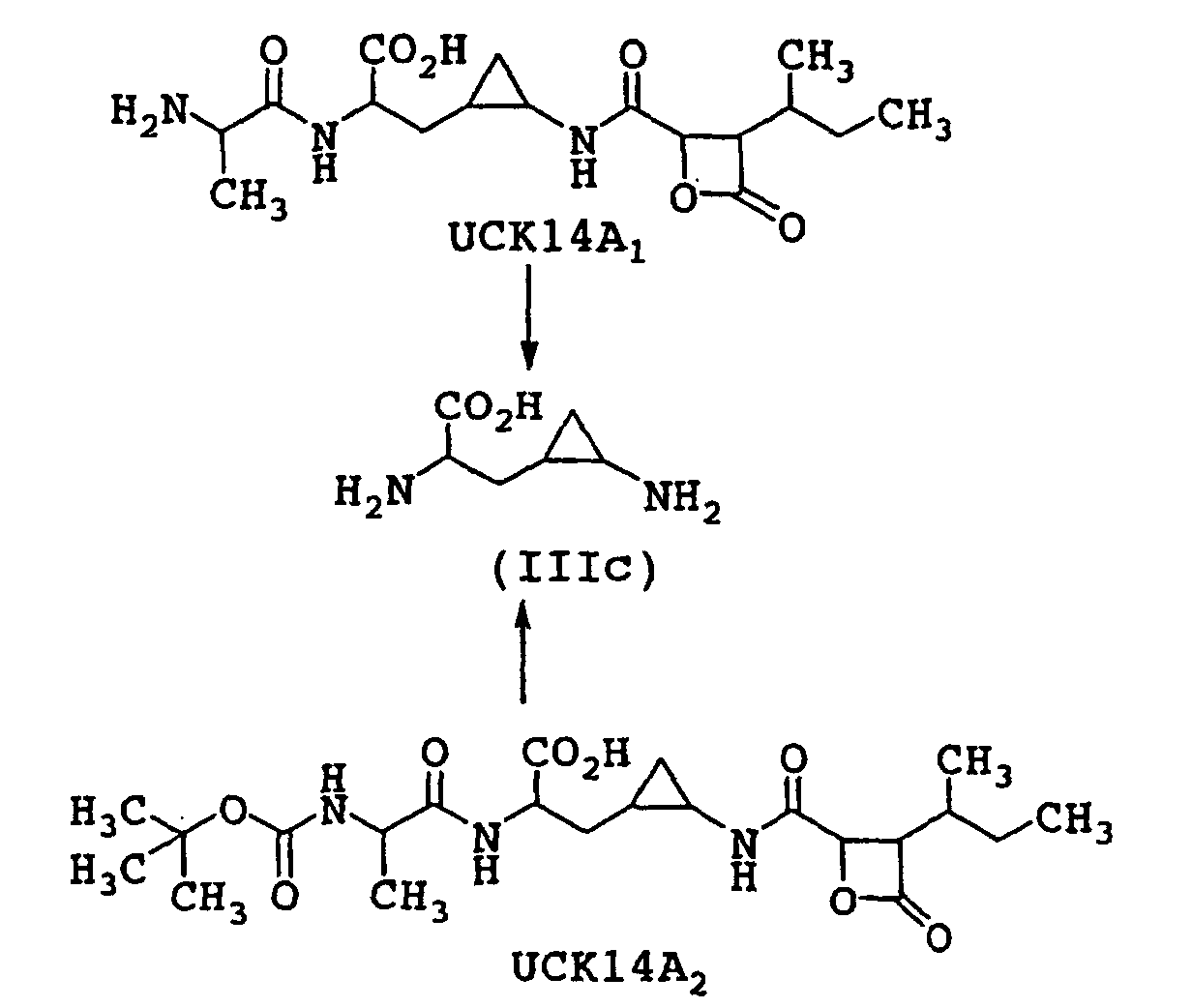 Figure 00220001