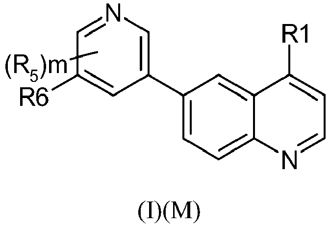 Figure imgb0019