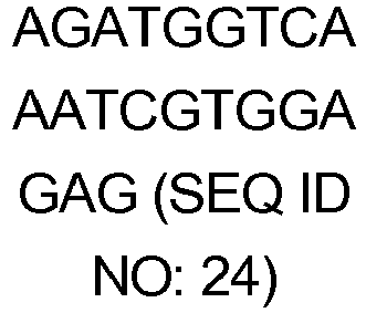 Figure imgb0010