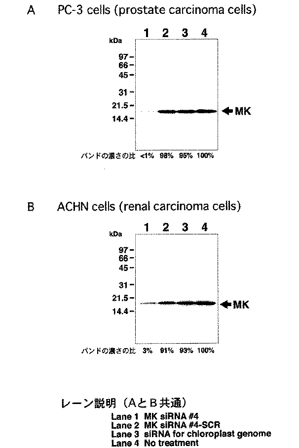 Figure 2004275169