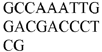 Figure imgb0093