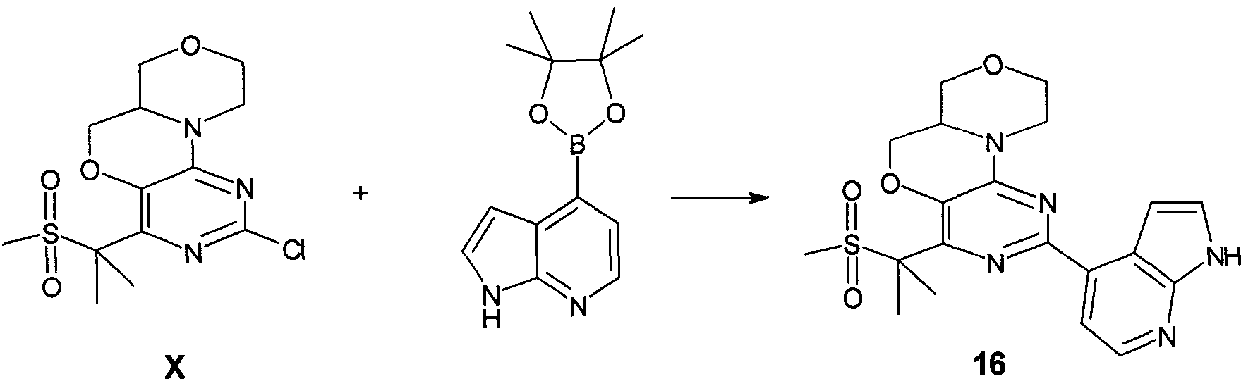 Figure imgf000053_0001