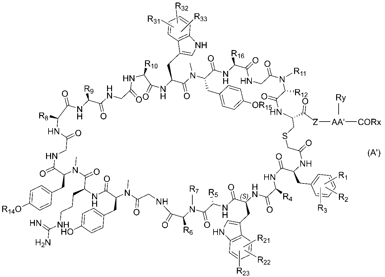 Figure JPOXMLDOC01-appb-C000023