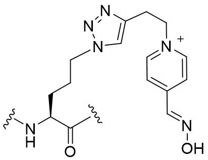 Figure JPOXMLDOC01-appb-C000075