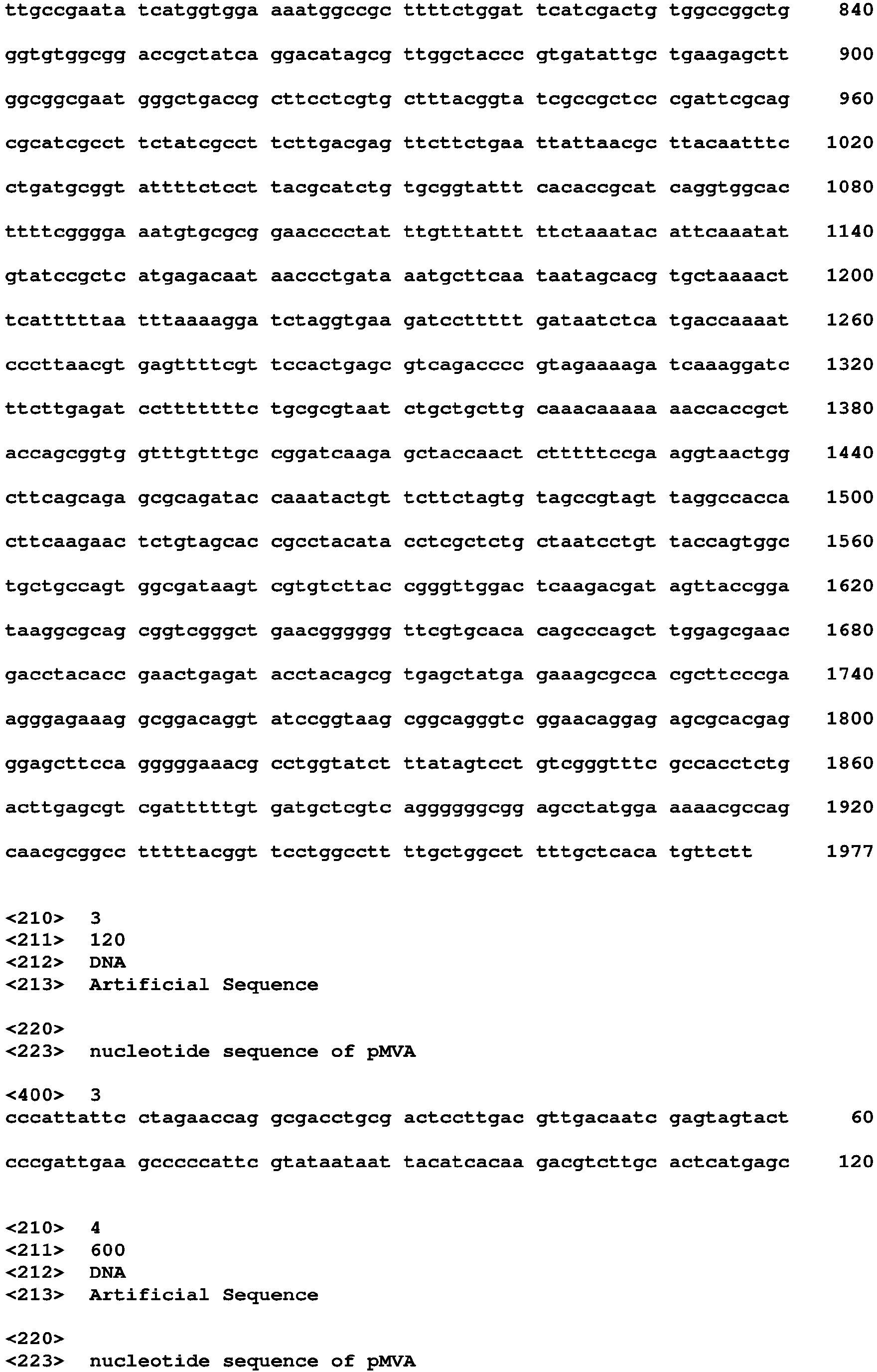 Figure imgb0019