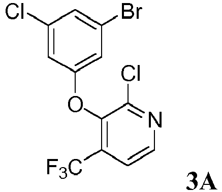 Figure imgb0010