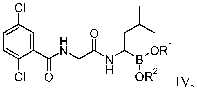Figure imgf000020_0004