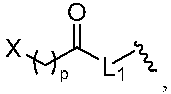 Figure imgb0102