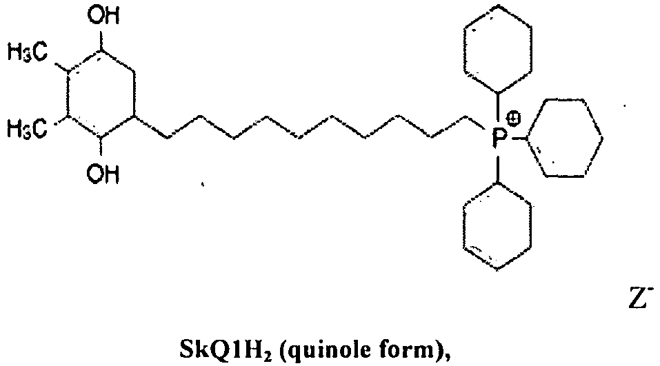 Figure imgb0013