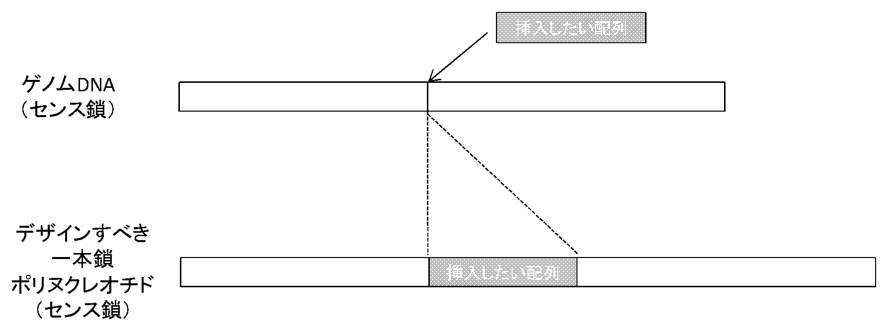 google patents