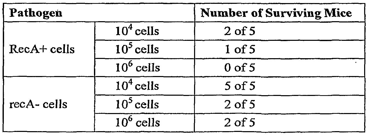 Figure imgf000053_0001