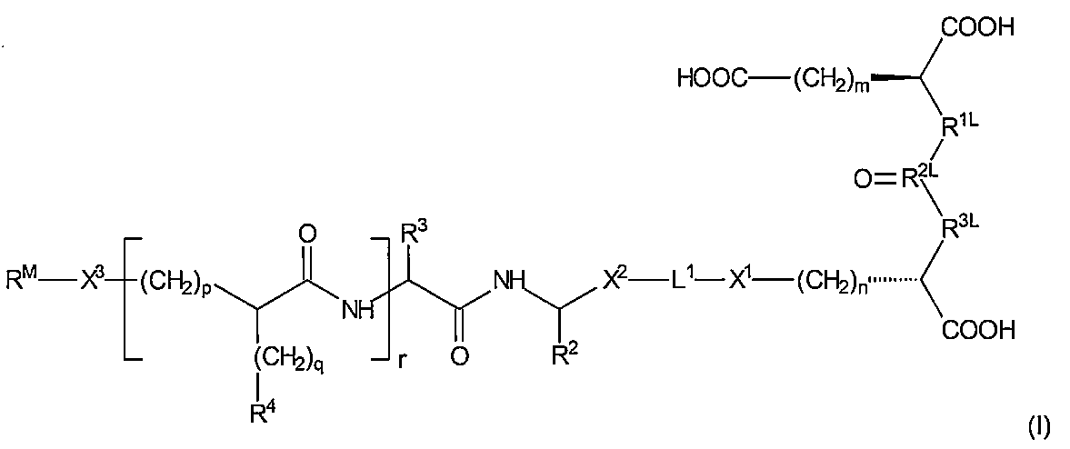 Figure 0007572080000040