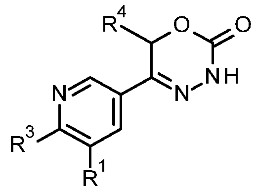 Figure imgf000003_0001