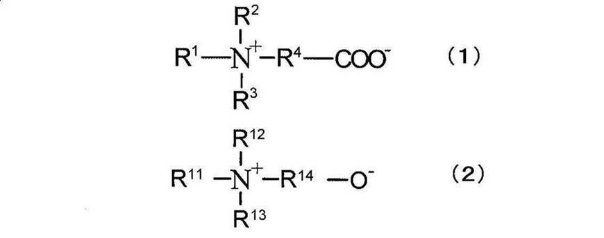 Figure JPOXMLDOC01-appb-C000047