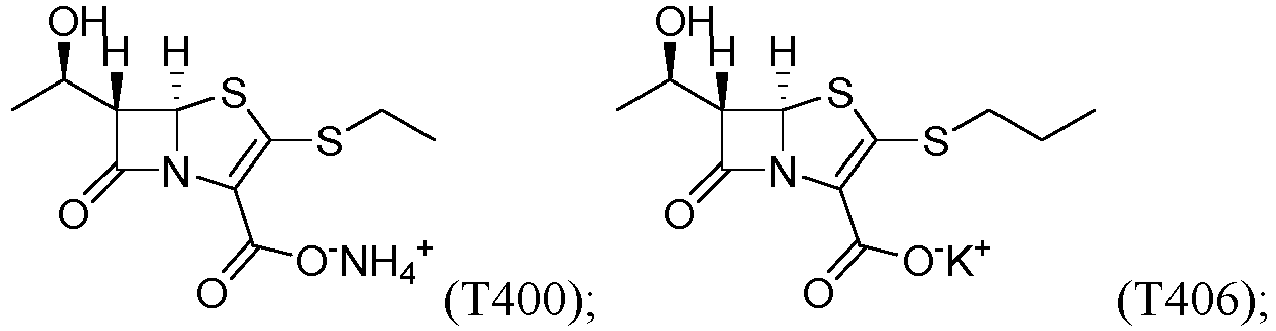 Figure imgb0010