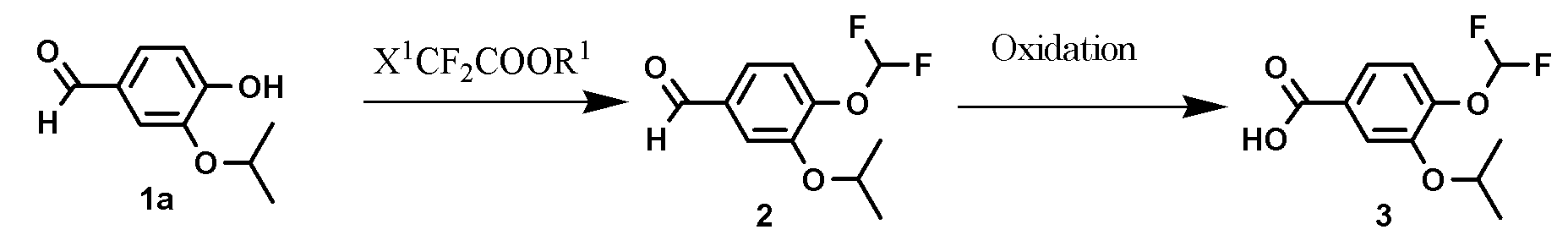 Figure JPOXMLDOC01-appb-C000003