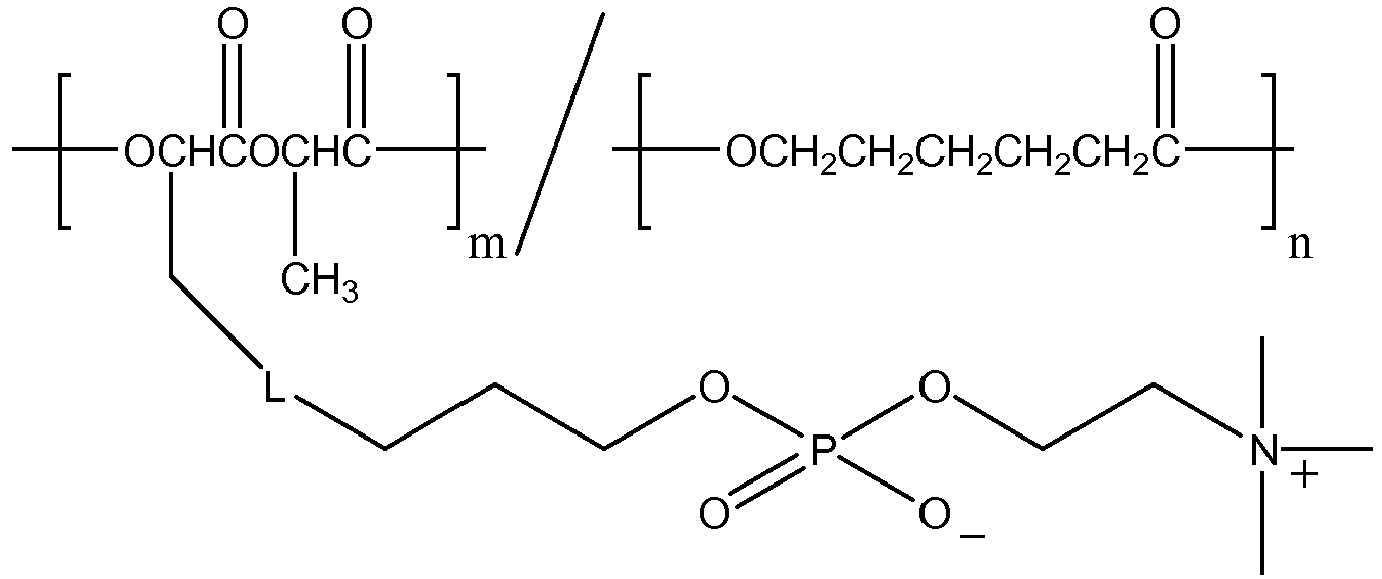 Figure imgb0013