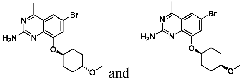 Figure imgb0105