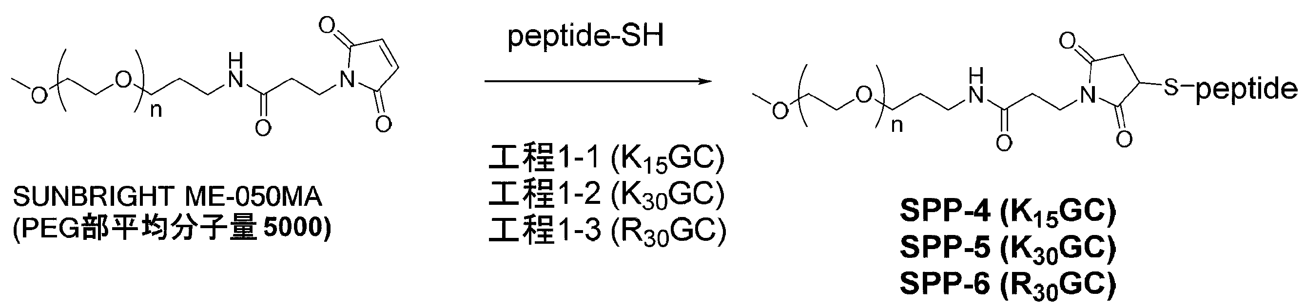 Figure JPOXMLDOC01-appb-C000091