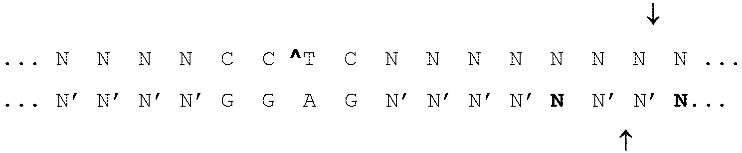 Figure imgb0010