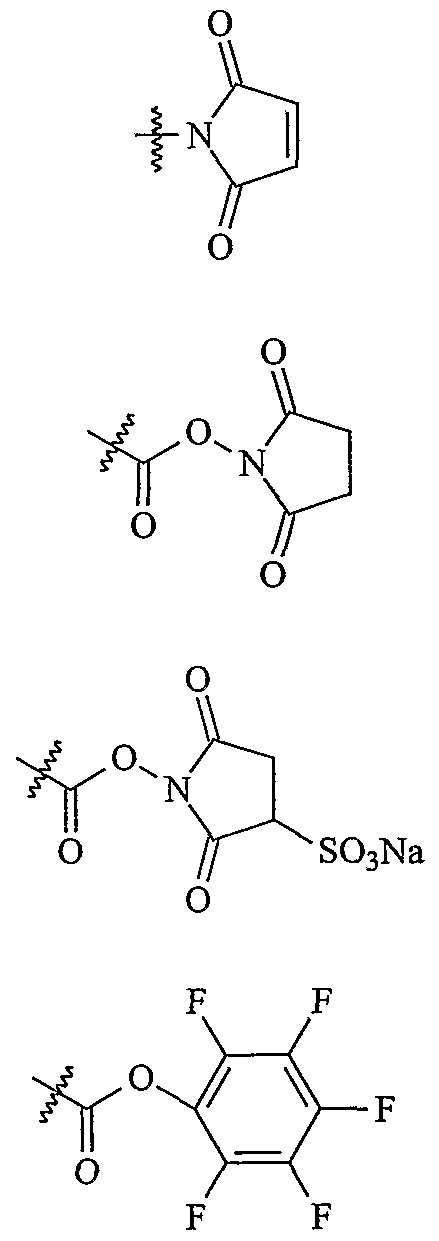 Figure imgf000033_0003
