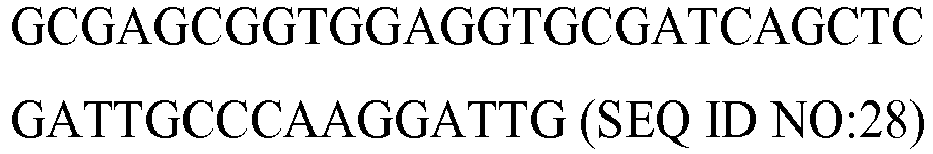 Figure imgb0028