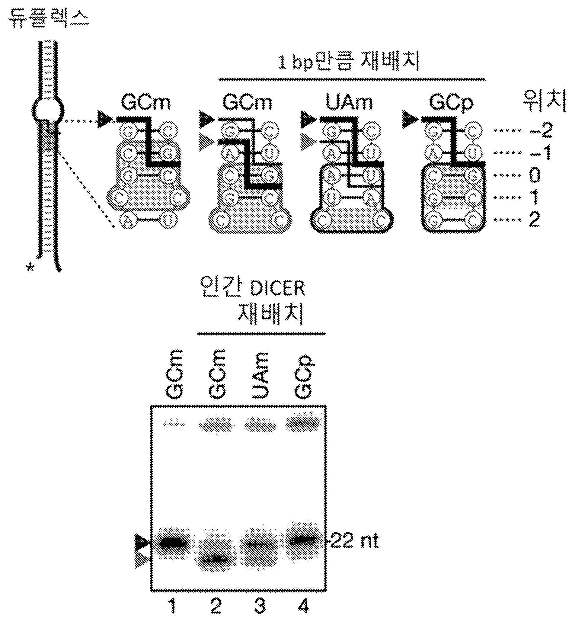 특허 도면 60