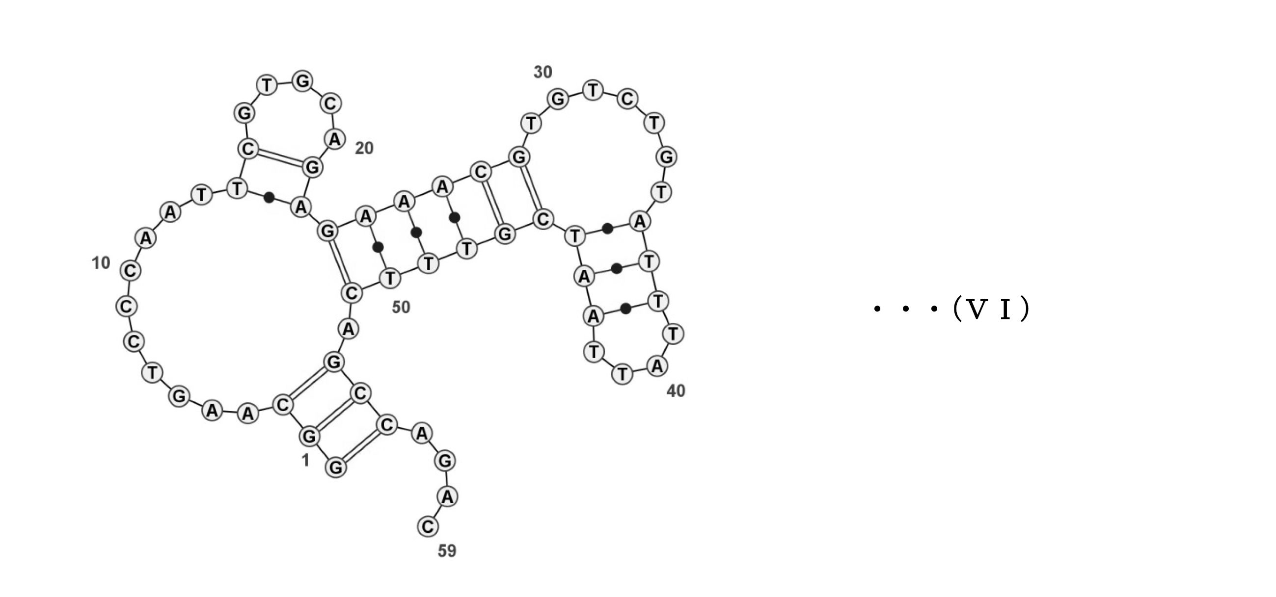 Figure JPOXMLDOC01-appb-C000017